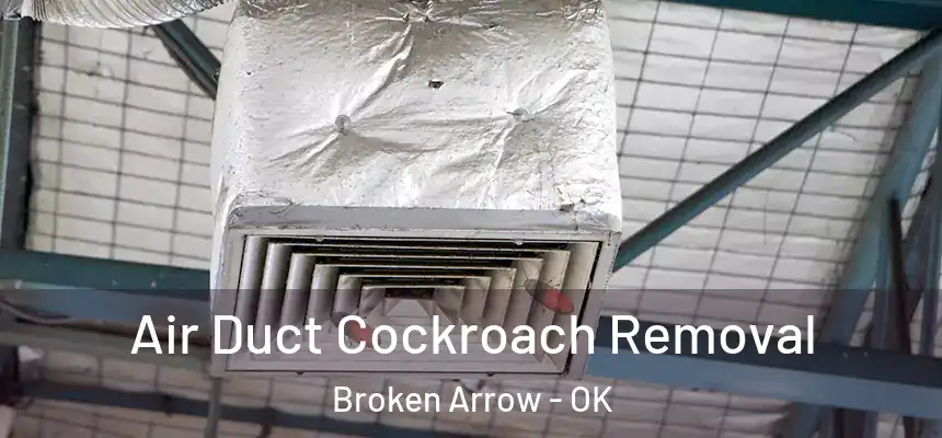  Air Duct Cockroach Removal Broken Arrow - OK