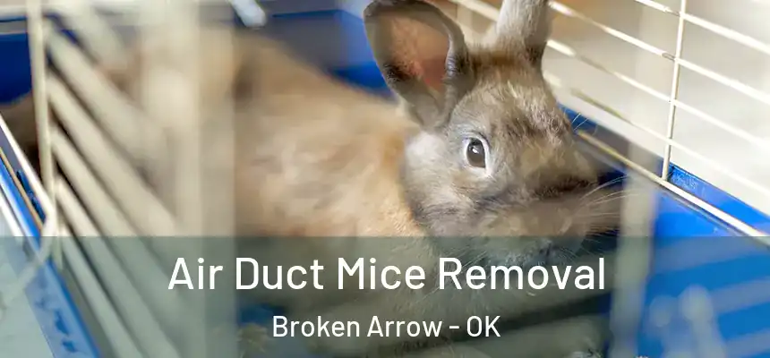 Air Duct Mice Removal Broken Arrow - OK