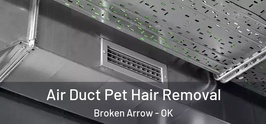  Air Duct Pet Hair Removal Broken Arrow - OK