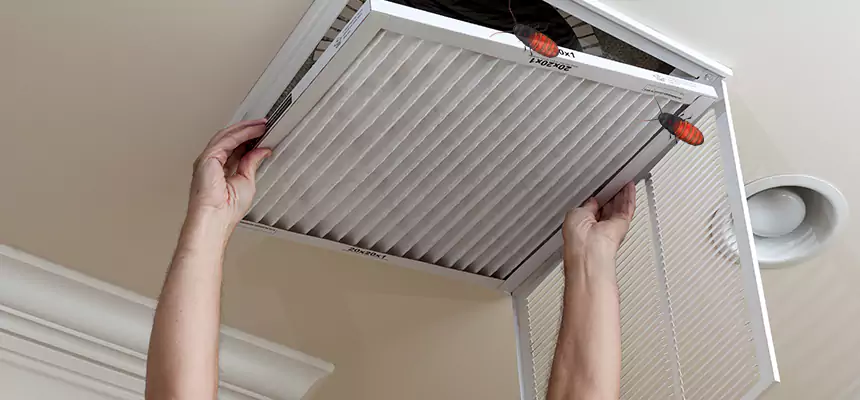 Our Insect Removal from Air Ducts Services in Broken Arrow, OK