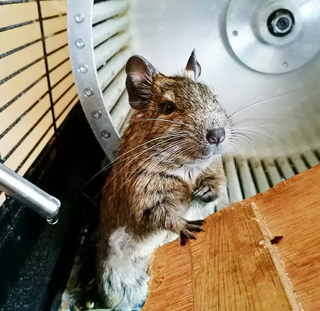 Why Homeowners & Businesses Trust Us Broken Arrow, OK?